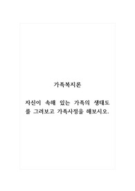 가족복지론_자신이 속해 있는 가족의 생태도를 그려보고 가족사정을 해보시오.