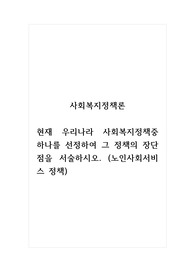 사회복지정책론_현재 우리나라 사회복지정책중 하나를 선정하여 그 정책의 장단점을 서술하시오. (노인사회서비스 정책)