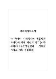 세계의사회복지_각 국가의 사회복지의 공통점과 차이점에 대해 자신의 생각을 제시하기(소득보장정책과 사회적 서비스 제도 중심으로)
