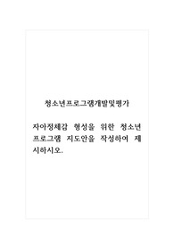 청소년프로그램개발및평가_자아정체감 형성을 위한 청소년프로그램 지도안을 작성하여 제시하시오.