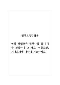 평생교육경영론_현행 평생교육 정책사업 중 1개를 선정하여 그 개요, 성공요인, 기대효과에 대하여 기술하시오.