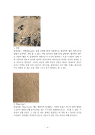 Bedform 베드폼 관찰 보고서