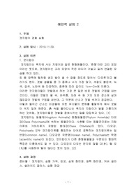 갯지렁이 관찰 실험