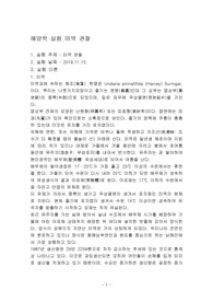 해양학 실험 미역 관찰 보고서