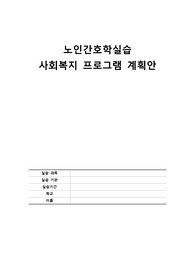 노인간호학실습 사회복지 프로그램 계획안