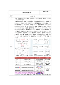 일반화학실험 나일론 끈 보고서