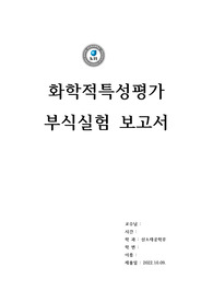 부식 실험 보고서 22.10.09