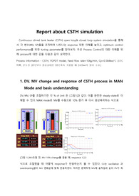 Report about (CSTH) simulation (공정제어 CSTH 시뮬레이션 보고서)