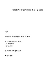 사회복지 재정(재원)의 특성 및 효과
