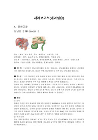 담낭암 간호과정 케이스 3개, 21page