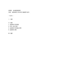 삼성SDI의 미국시장 진출전략 분석