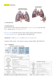 NCLEX 요약정리 (+NGN 포함) - 성인간호 cardiovascular (EKG 상세, 이미지 포함)
