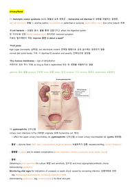 NCLEX 요약정리 (+NGN 포함) - 아동간호 Urinary &amp; Renal