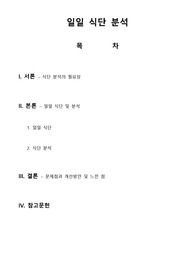 일일식단분석