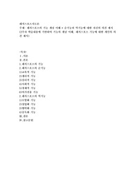 레저스포츠의 기능 개념 이해 + 순기능과 역기능에 대한 자신의 의견 제시