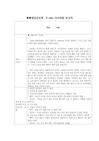 브이심V-sim (Linda waterfall) 사례브리핑분석보고서