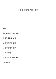 사회복지정책 평가 과정
