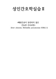 성인간호과정 간농양케이스스터디 간호과정2, 간호진단2