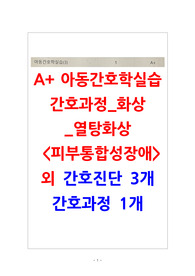 A+ 피부계 기능장애_화상(Burn)_간호진단3개,간호과정1개
