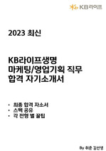 KB라이프생명 합격 자기소개서 - 마케팅 및 영업 기획 (2023)