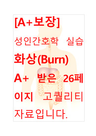[A+보장]성인간호학 실습 화상(Burn) 컨퍼런스, 케이스스터디, 간호과정, 간호진단 26페이지 자료입니다.