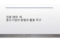 자원 제약 하에서 중소기업이 탐험(exploration)과 활용(exploitation)을 추구할 수 있는 방안을 제시