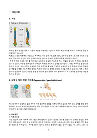 A+ 성인간호학 문헌고찰, 간호과정 케이스 퇴행성 척추전방전위증 (Spondylolisthesis) 척추간유합술