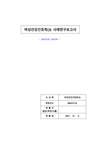 자궁경부암사례보고서