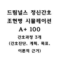 드림널스 정신간호 조현병 시뮬레이션