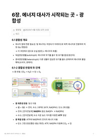 일반생물학 6장 정리본(생명과학 이론과 응용/광합성)