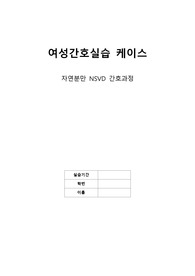 자연분만 NSVD 간호과정 케이스 2개, 5page
