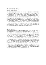 합격 자기소개서_대외활동 자기소개서 예시
