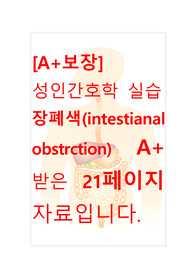 [A+보장]성인간호학 실습 장폐색(intestianal obstrction) 간호진단, 간호과정, 컨퍼런스, 케이스스터디 21페이지 자료입니다.