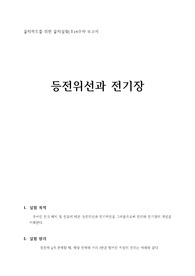 (A+) 일반물리학실험2 등전위선