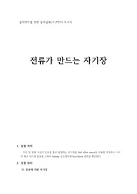 (A+) 일반물리학실험2 전류에 의한 자기장