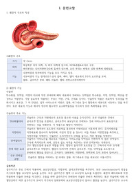 [A+] 제1형당뇨 케이스스터디, 간호진단 3개 간호과정 3개