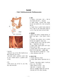 성인간호학실습+게실질환(게실증, 게실염) 문헌고찰!! 간략합니다!!