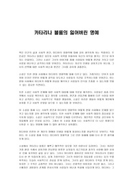 카타리나 블룸의 잃어버린 명예 독후감