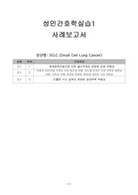 소세포폐암(SCLC) CASE STUDY 간호과정 3개