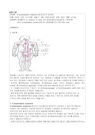 아동간호학 실습 - 질환고찰(B 림프모구 림프종), 간호과정(감염의 위험), 교육안