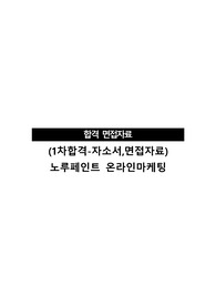 (1차합격-자소서)노루페인트 온라인마케팅
