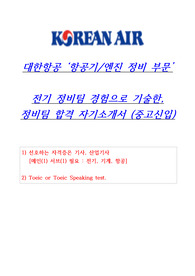 2024년 대한항공 항공기, 엔진 인턴 정비사 합격 자기소개서