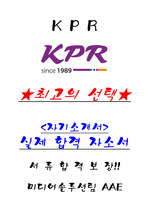 KPR 미디어솔루션팀 서류합격 자기소개서, 자소서 [최종합격]