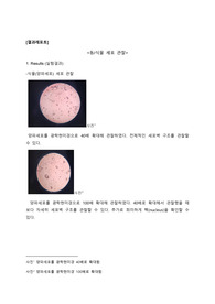 동식물세포 관찰 결과 레포트