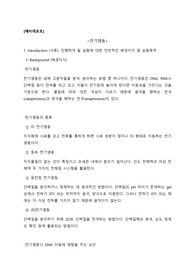 전기영동 예비보고서