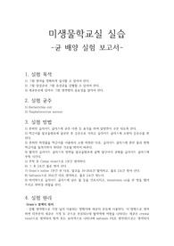 미생물학 실습 균 배양 실험 보고서