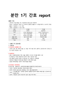 여성간호학 분만1기 간호사정, 간호중재 Report