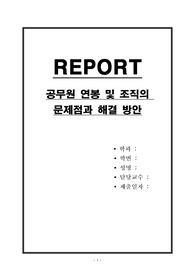 공무원 연봉 및 조직의 문제점과 해결 방안