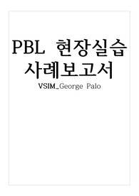 VSIM_조지팔로(George Palo) 간호과정2개_ 소중한 대상의 상실과 관련된 슬픔, 식욕 저하와 관련된 영양 불균형의 위험