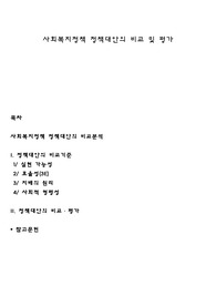 사회복지정책 정책대안의 비교 및 평가